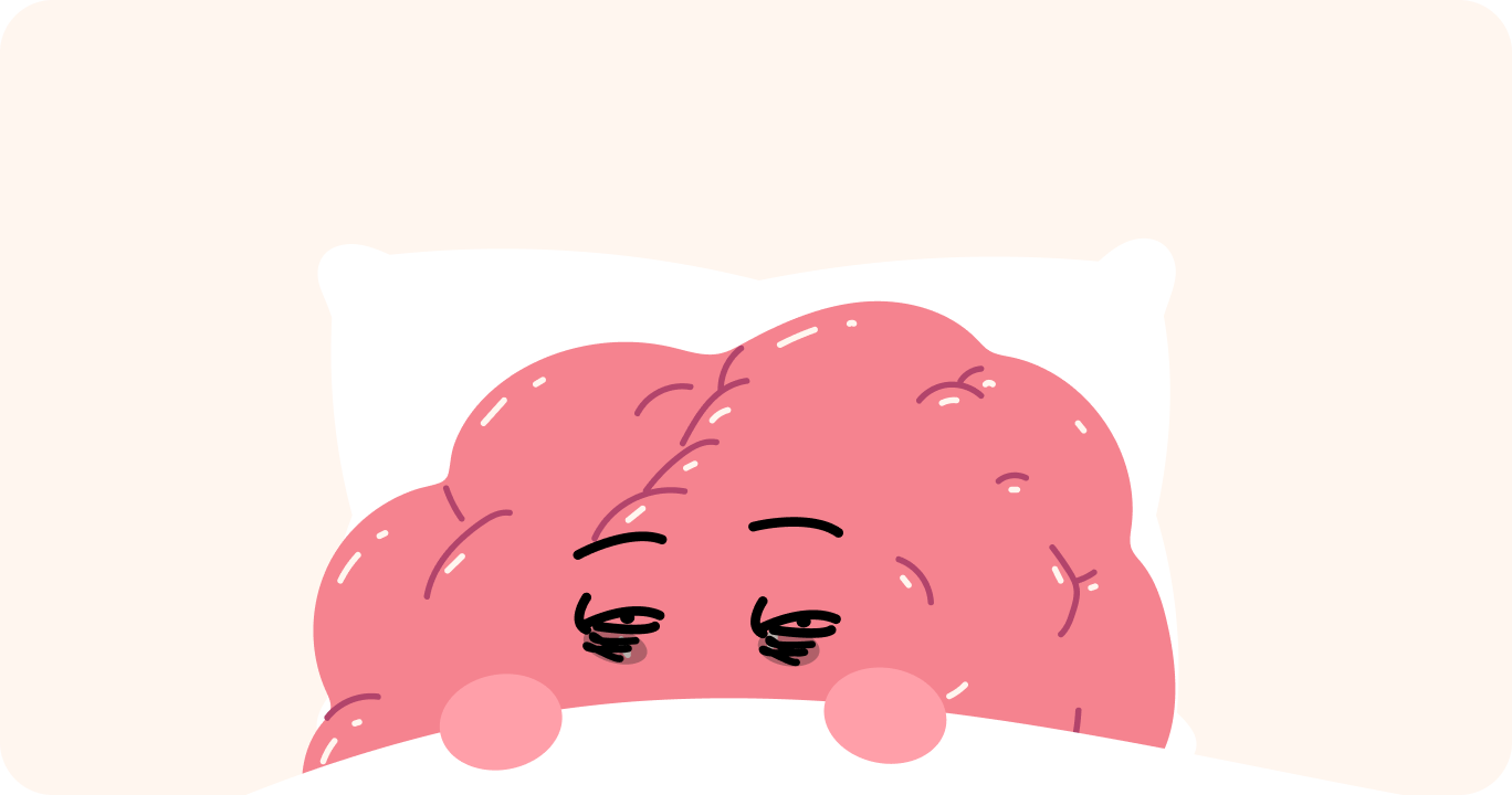 朝、眠っている脳